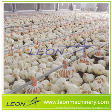 Leon series customized pan feeding system for poultry and livestock